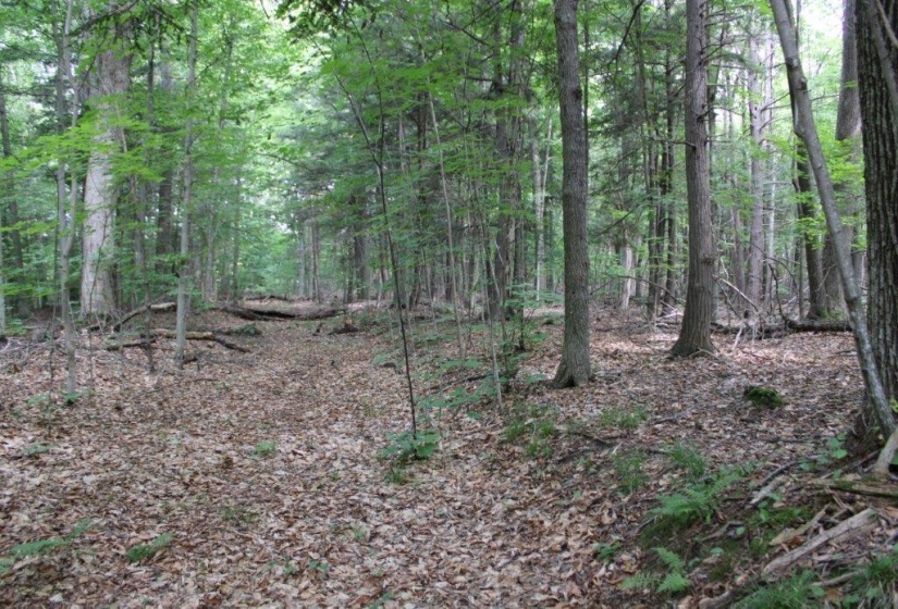 Part of private road looking southwest