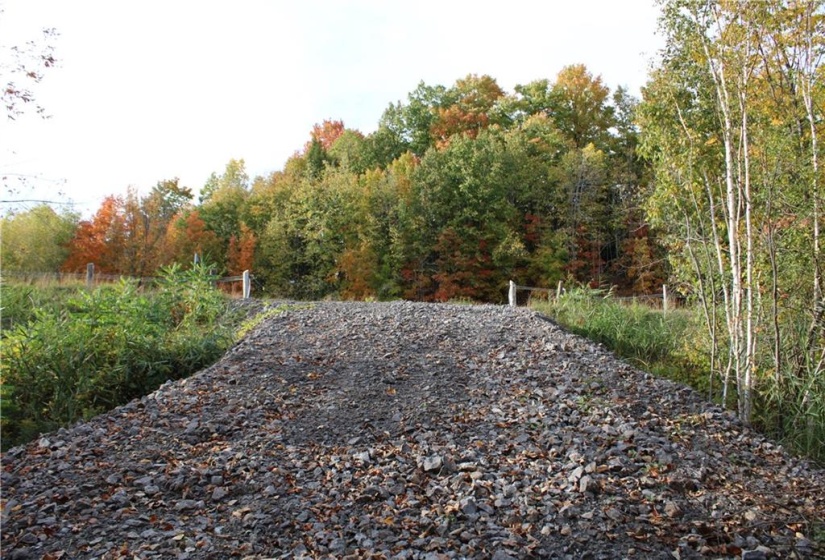 Looking towards Jochem Rd from bottom of driveway