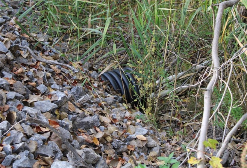 New culvert on east side of driveway