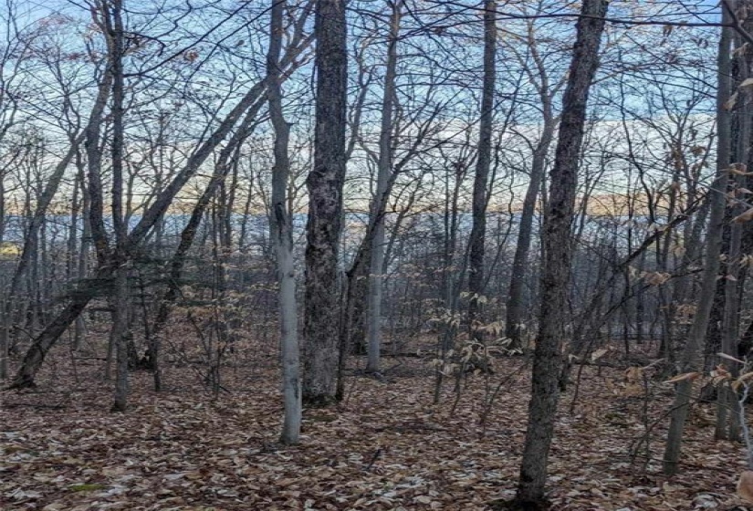 View of back of the lot in the fall