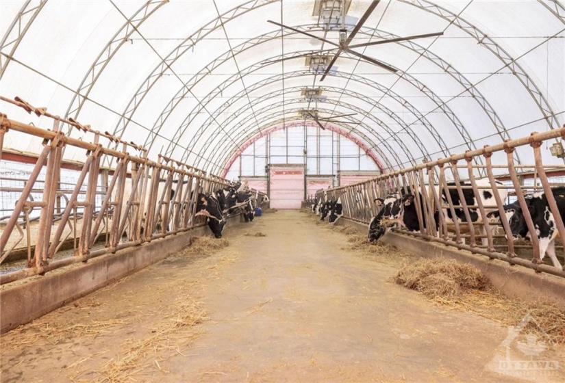 130' x 65' heifer barn with 60 free-stalls