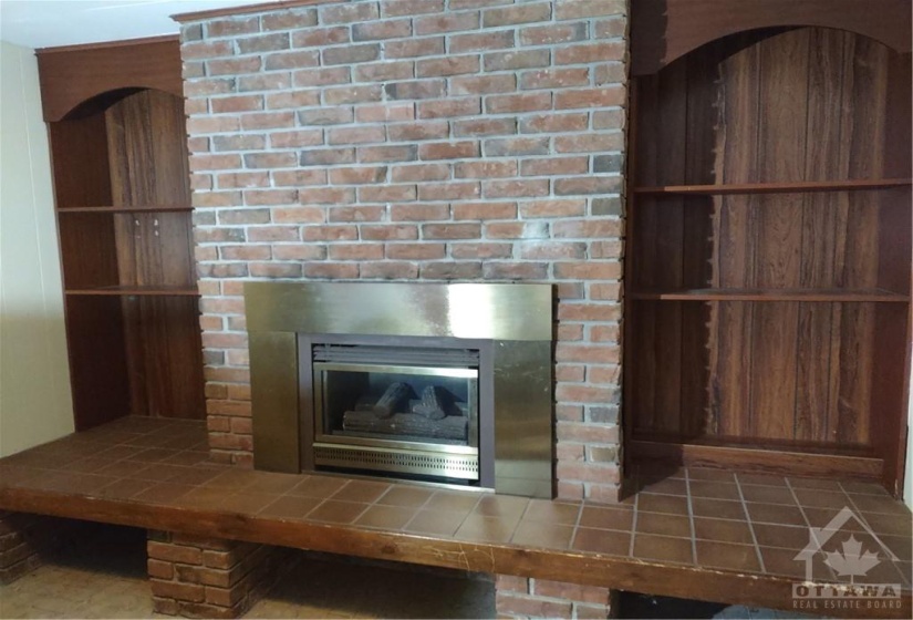 Rec Room Fireplace, photo compliments of owner