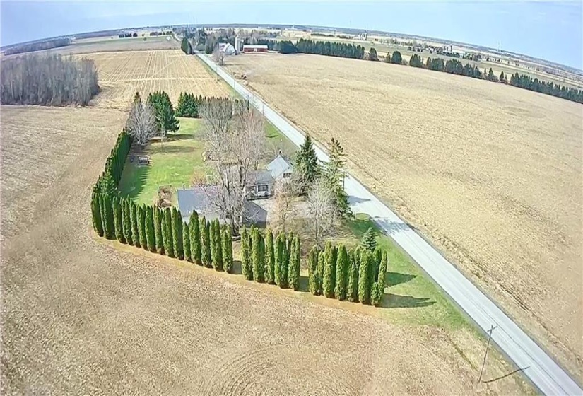Tree Lined Lot with Mature Landscaping