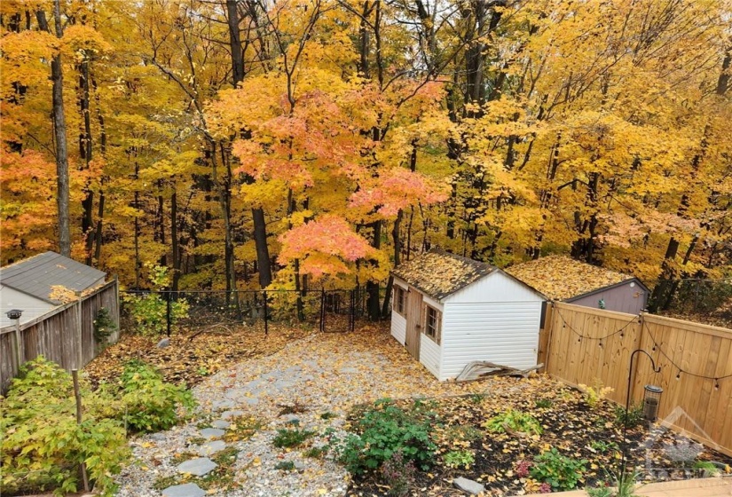 Exterior backyard during Fall and overlooking the wood ravine
