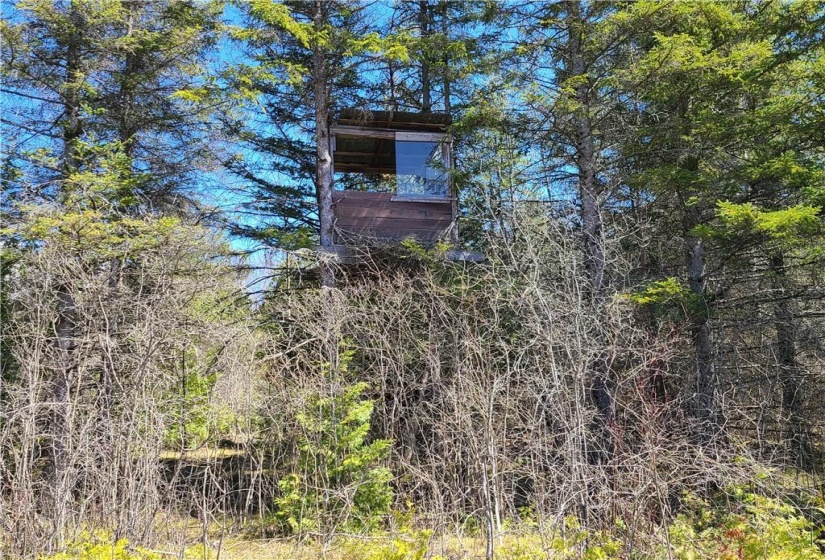 Wildlife viewing stand