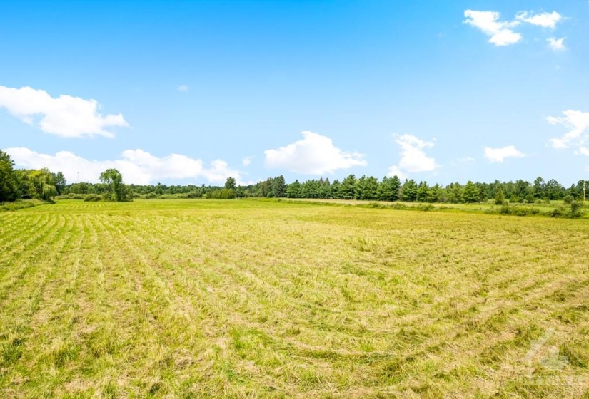 Hay fields