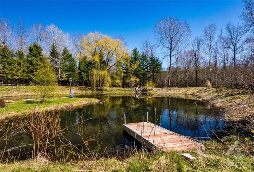Large pond equipped with fountain, waterfall and 12 foot dock
