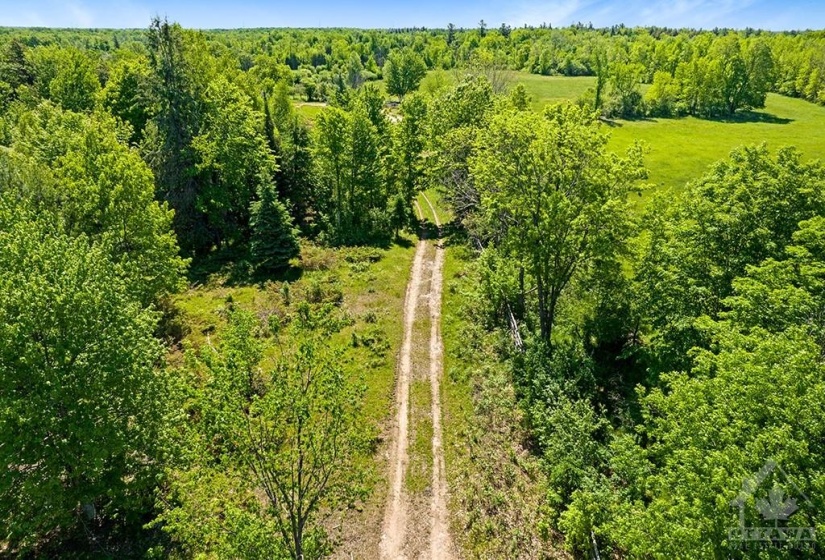 Trail through the property
