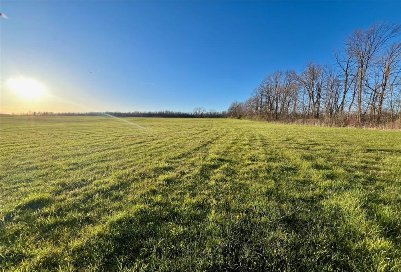 BEAUTIFUL SUNSETS AND WIDE OPEN SPACES COULD BE YOURS!! MINUTES TO GORGEOUS CHARLESTON LAKE!