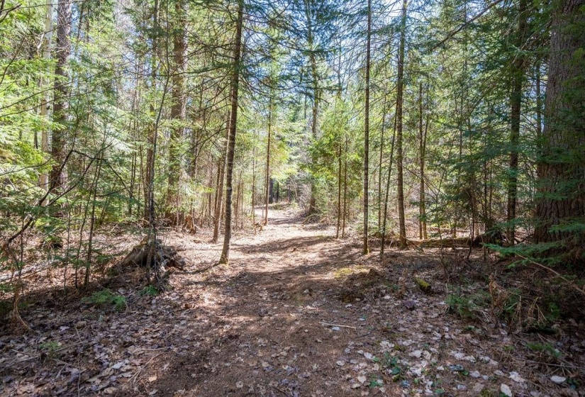 Trails throughout the property with quick access to main snowmobile and ATV trails