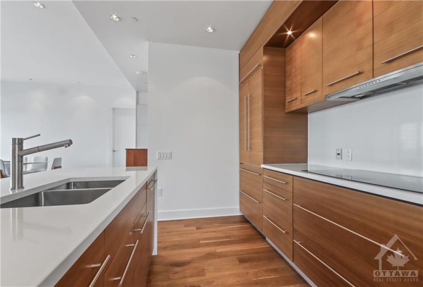 Lots of cabinetry and lighting...induction cooktop.