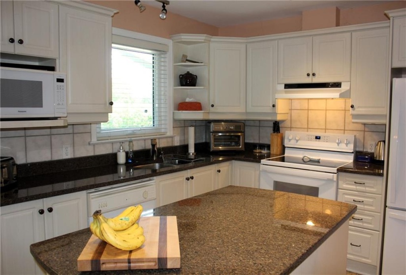 Kitchen with view of backyard