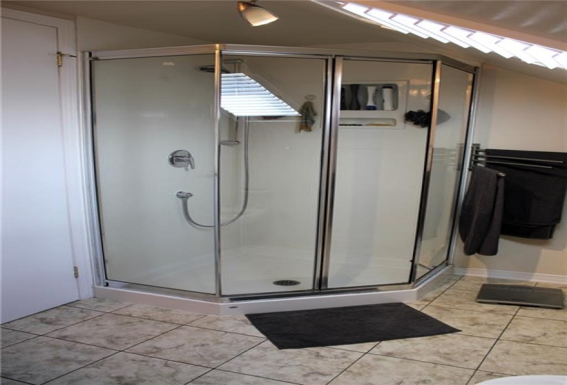 En-suite bathroom with shower and skylight