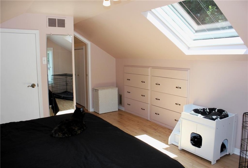 Primary bedroom with skylight