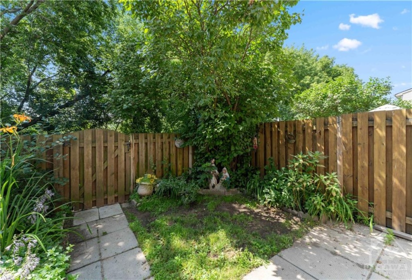 fenced rear yard