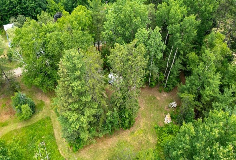 Firepit, trails, peace and tranquility without leaving home