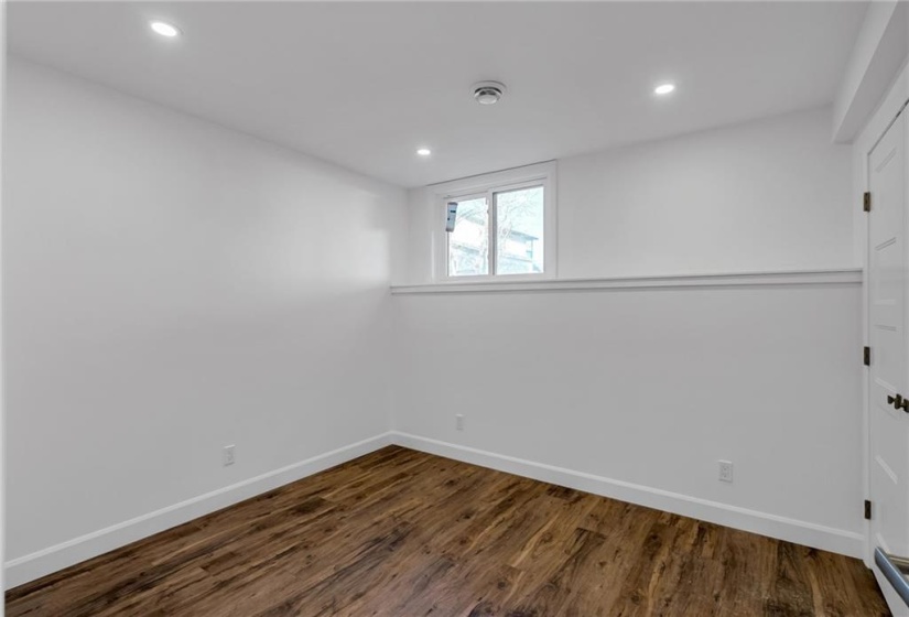 Second lower level bedroom.