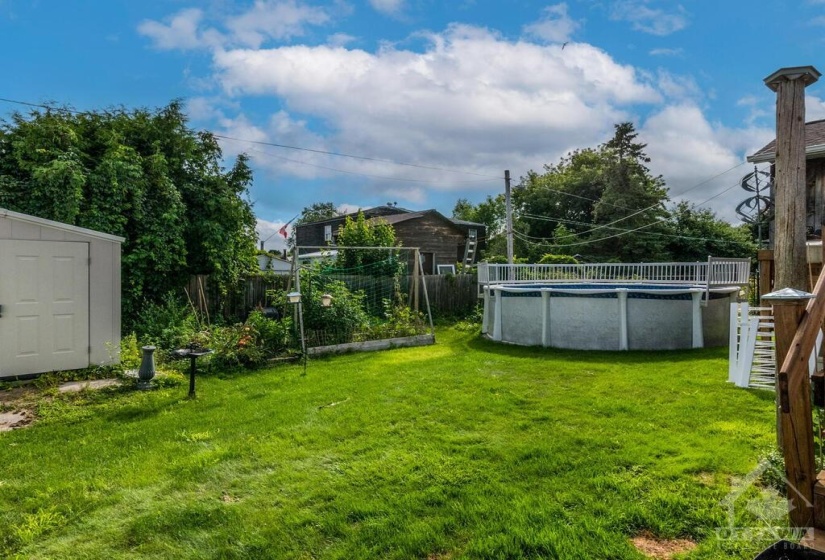 View of the sunny backyard