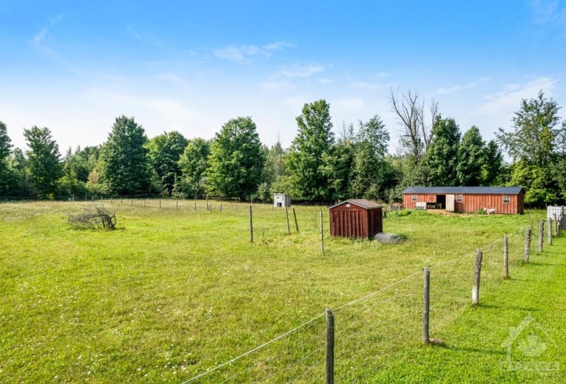 Amish barn plus sheep and goat sheds with 4 fenced paddocks