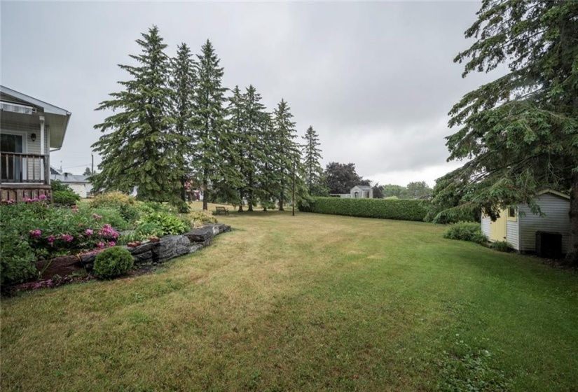 Storage shed ,beautiful back yard !