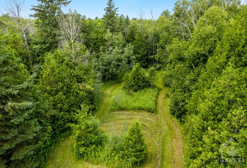 Besides hay fields, woodlot also