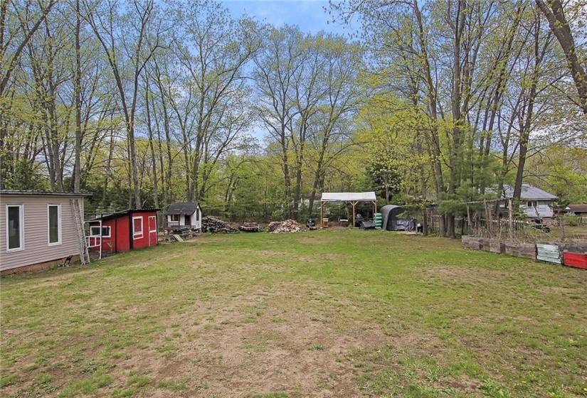 Huge backyard! Perfect for a pool, and many outdoor activities