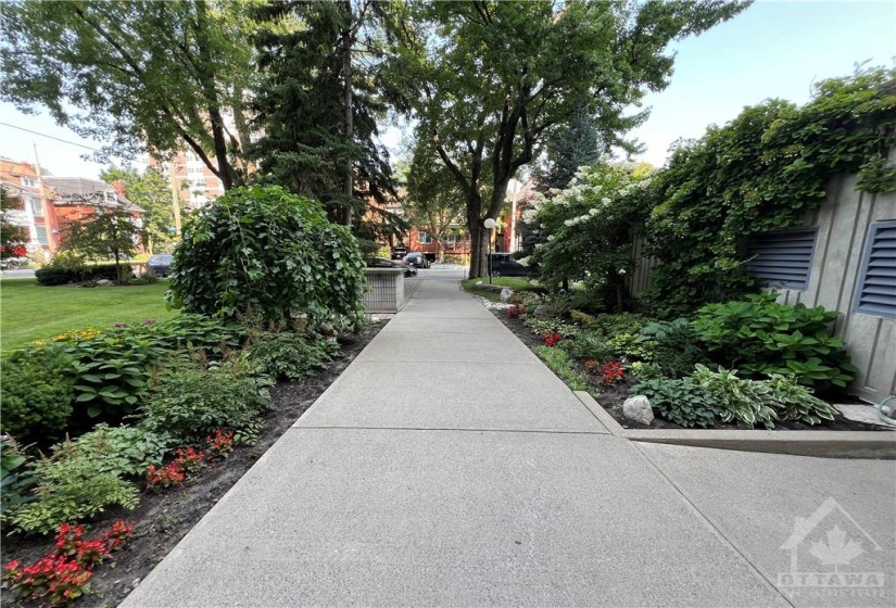 Front Entrance Walkway