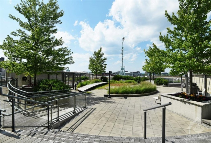 Welcoming outdoor space with ample seating and BBQs for residents' use