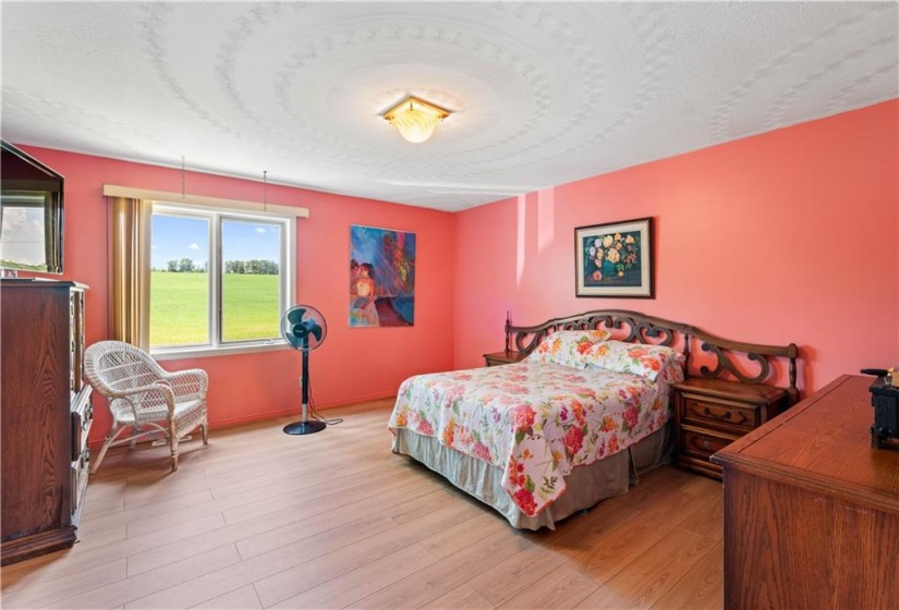 Primary bedroom with large walk-in closet and oversized walk in linen closet (not shown)