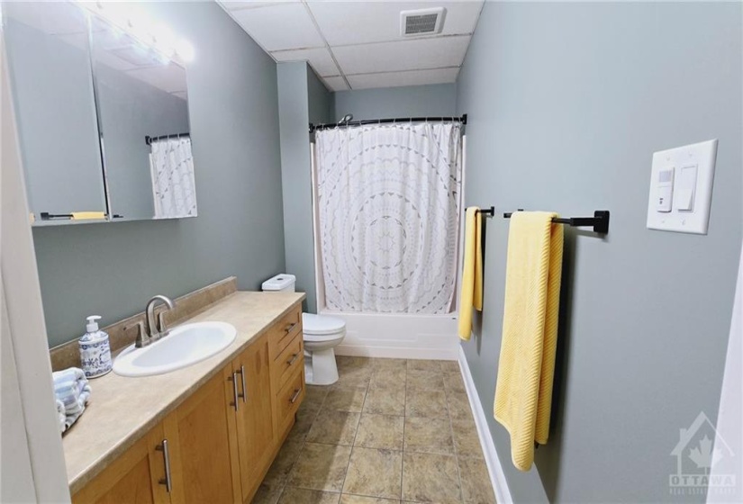 Walkout Level In-law Suite - 4 Piece Bath