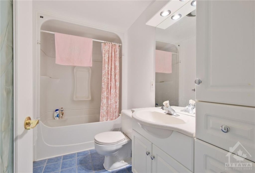 Basement Bathroom