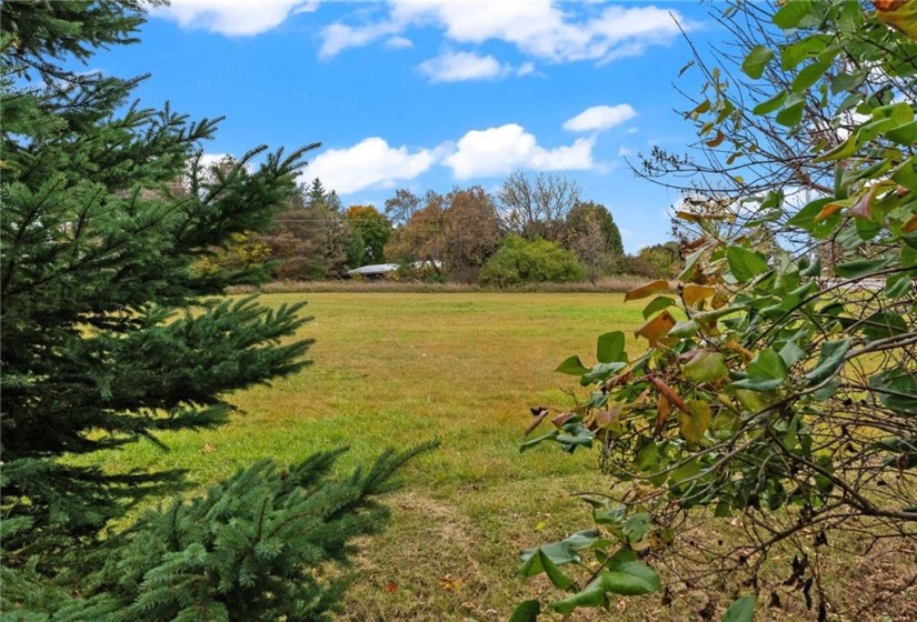 Your view onto vacant field