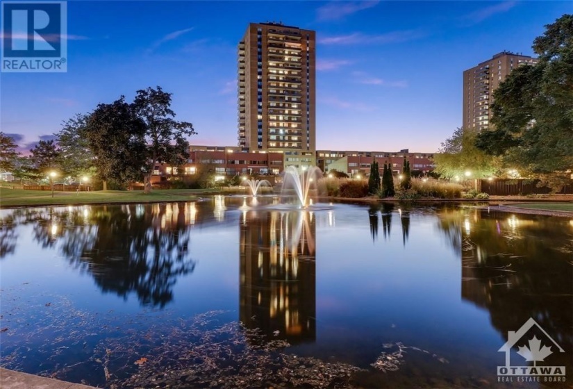 fountain at night