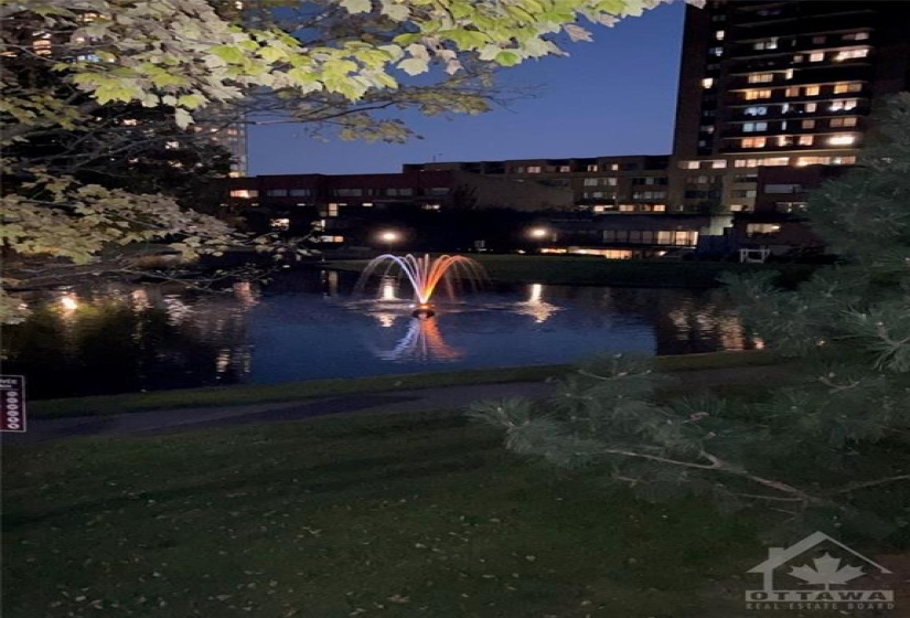 fountain at night