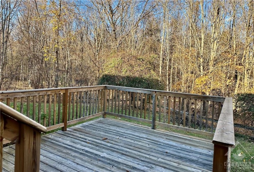 Back Deck (off den)