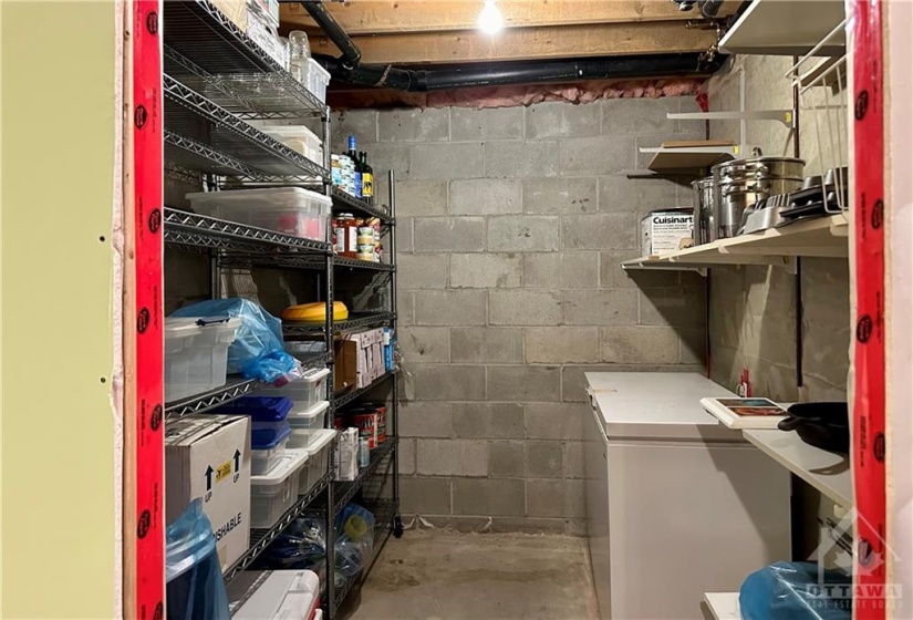 Basement Freezer Space