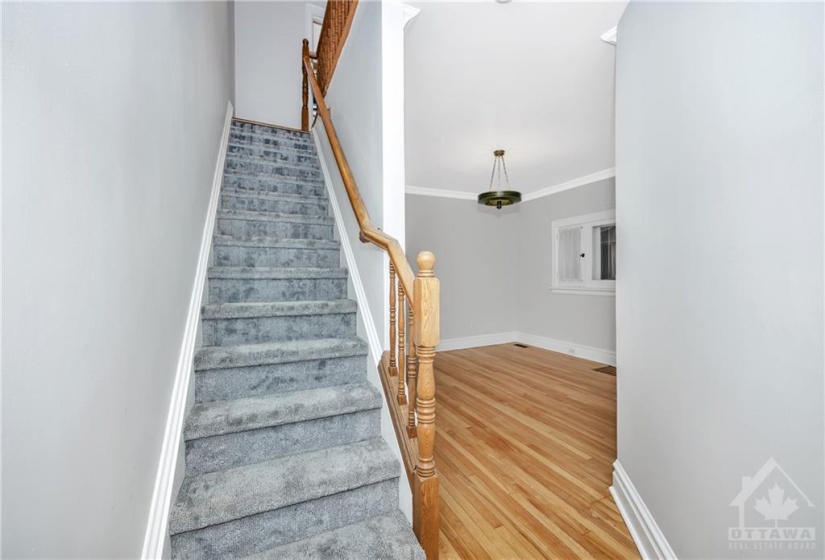 Original wood stair trends recently carpeted - 2023