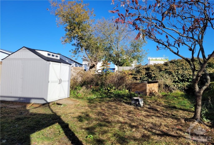 Yard with a view of the shed, fire pit and hen house.