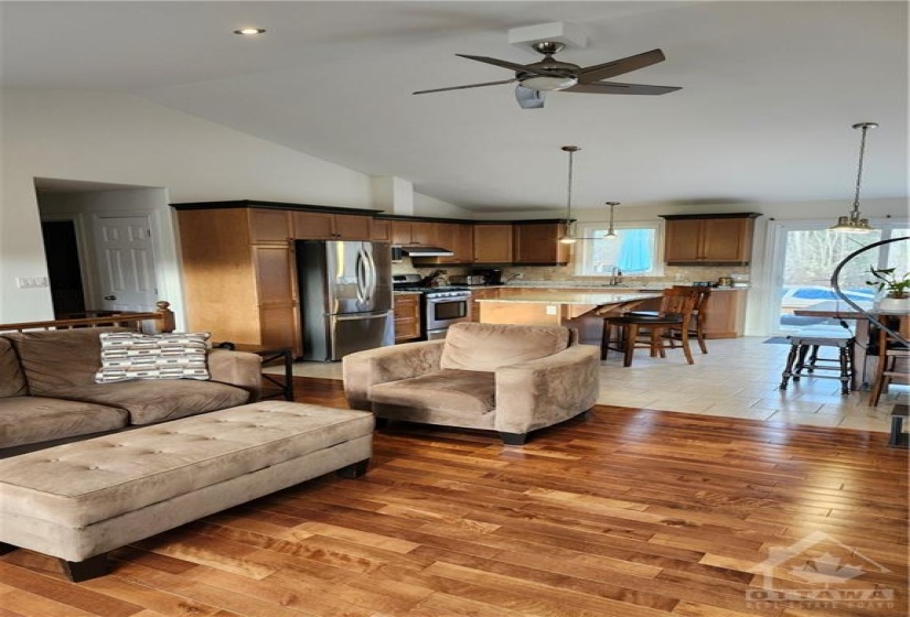 Living room and kitchen