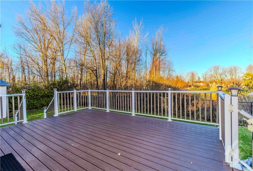 No rear neighbors, a large composite deck, a fenced yard with three gates, and plenty of outdoor space for families.